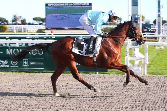 Photo d'arrivée de la course pmu PRIX DES JACINTHES à CAGNES-SUR-MER le Mercredi 16 février 2022