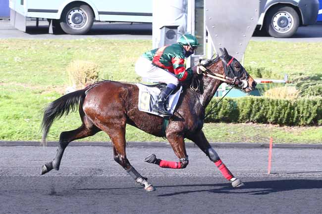 Photo d'arrivée de la course pmu PRIX HOLLY DU LOCTON à PARIS-VINCENNES le Jeudi 17 février 2022