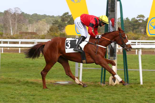 Photo d'arrivée de la course pmu PRIX CHAMPAGNE ROBERT GRUMIER à FONTAINEBLEAU le Jeudi 17 février 2022