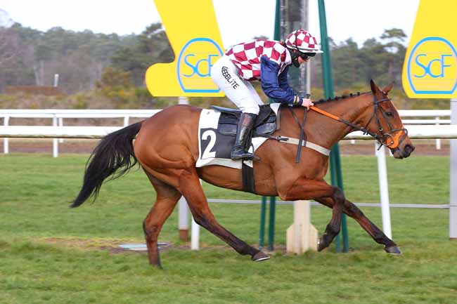 Photo d'arrivée de la course pmu PRIX DU CONSEIL MUNICIPAL DE CHAILLY-EN-BIERE à FONTAINEBLEAU le Jeudi 17 février 2022