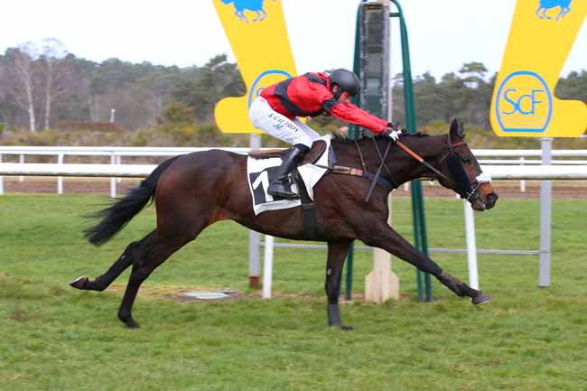 Photo d'arrivée de la course pmu PRIX ROTARY CLUB DE FONTAINEBLEAU à FONTAINEBLEAU le Jeudi 17 février 2022