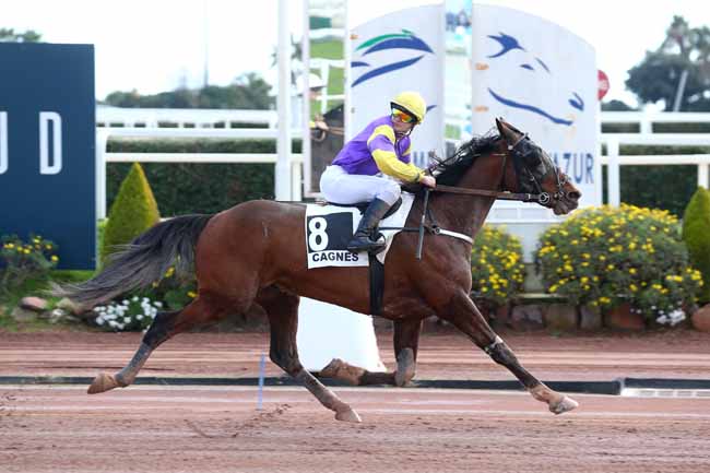 Photo d'arrivée de la course pmu PRIX SCARLET TURGOT à CAGNES-SUR-MER le Vendredi 18 février 2022
