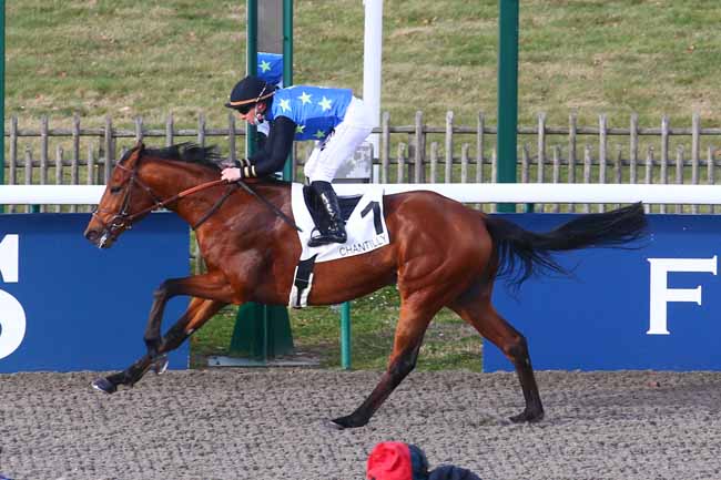Photo d'arrivée de la course pmu PRIX DE LA ROUTE DES PRINCES à CHANTILLY le Vendredi 18 février 2022