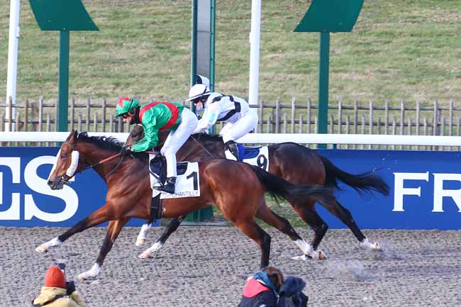 Photo d'arrivée de la course pmu PRIX DU BOIS DE BEAUVILLIERS à CHANTILLY le Vendredi 18 février 2022