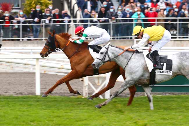Photo d'arrivée de la course pmu PRIX DE LA PROMENADE DE LA PLAGE (PRIX JACQUES GELIOT) à CAGNES-SUR-MER le Samedi 19 février 2022