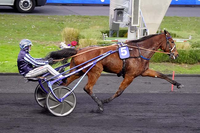 Photo d'arrivée de la course pmu PRIX DE FLERS à PARIS-VINCENNES le Mardi 22 février 2022