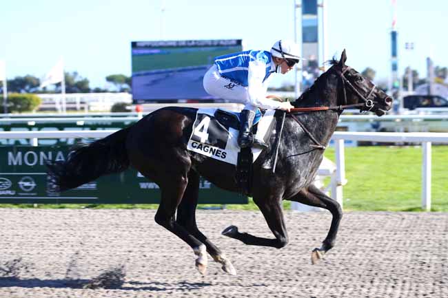 Photo d'arrivée de la course pmu PRIX GEORGES SANDOR à CAGNES-SUR-MER le Mercredi 23 février 2022