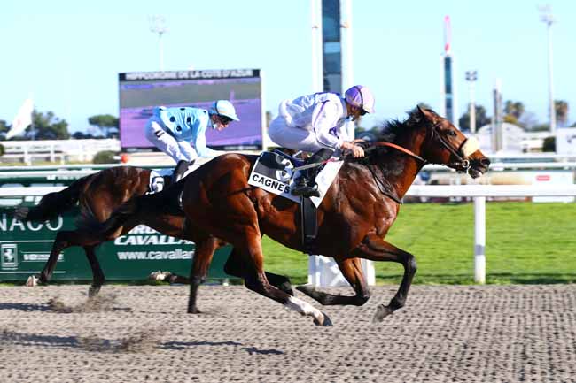 Photo d'arrivée de la course pmu PRIX DU QUEYRAS à CAGNES-SUR-MER le Mercredi 23 février 2022