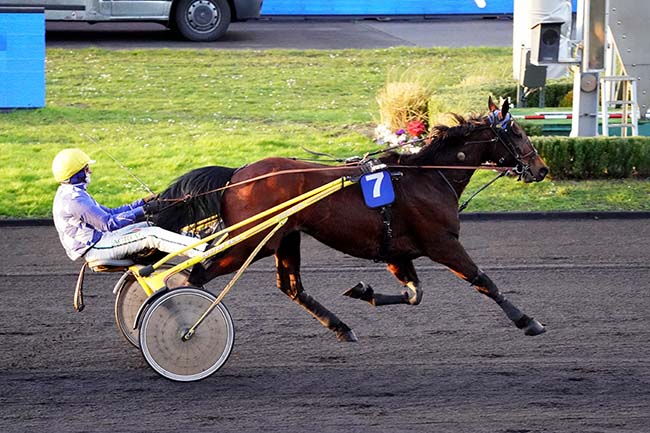 Photo d'arrivée de la course pmu PRIX DE PLESTIN-LES-GREVES à PARIS-VINCENNES le Jeudi 24 février 2022
