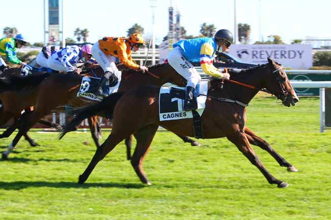 Photo d'arrivée de la course pmu PRIX FONDATION CLAUDE POMPIDOU (PRIX DE RAMATUELLE) à CAGNES-SUR-MER le Samedi 26 février 2022