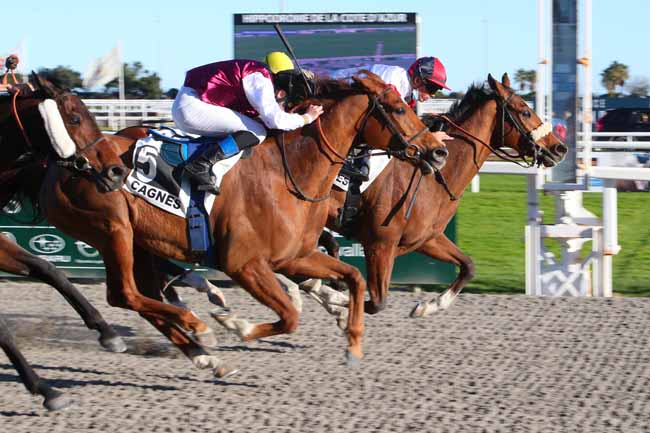 Photo d'arrivée de la course pmu PRIX DES BOUCHES-DU-RHONE à CAGNES-SUR-MER le Samedi 26 février 2022