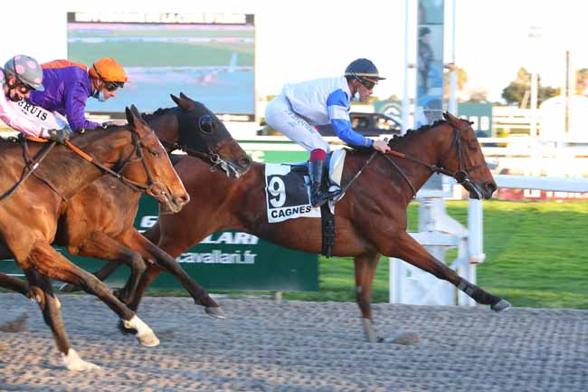 Photo d'arrivée de la course pmu PRIX DU VAUCLUSE à CAGNES-SUR-MER le Samedi 26 février 2022
