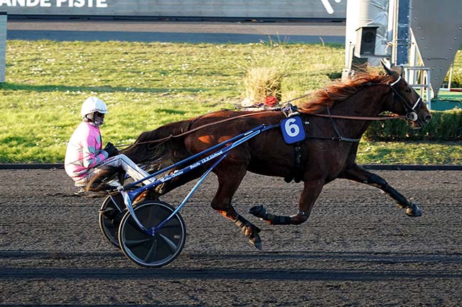 Photo d'arrivée de la course pmu PRIX DE BOIS LE ROI à PARIS-VINCENNES le Dimanche 27 février 2022