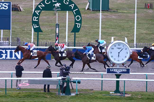 Photo d'arrivée de la course pmu PRIX DE L'ALLEE QUINCONCE à CHANTILLY le Mardi 1 mars 2022