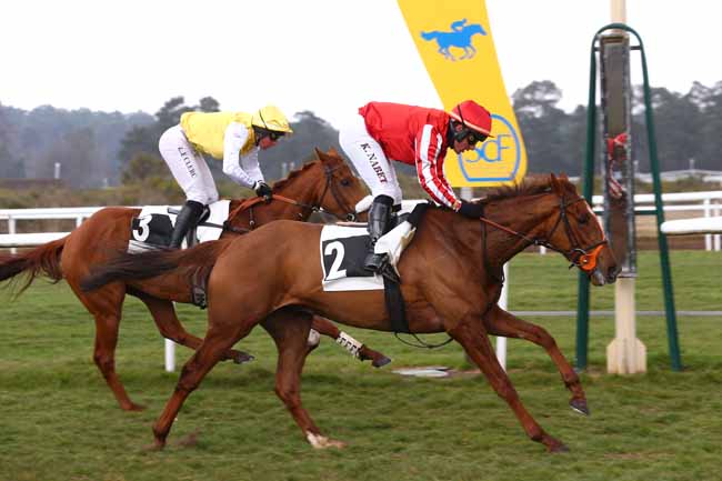 Photo d'arrivée de la course pmu PRIX COLONEL JEAN DE ROYER à FONTAINEBLEAU le Jeudi 3 mars 2022