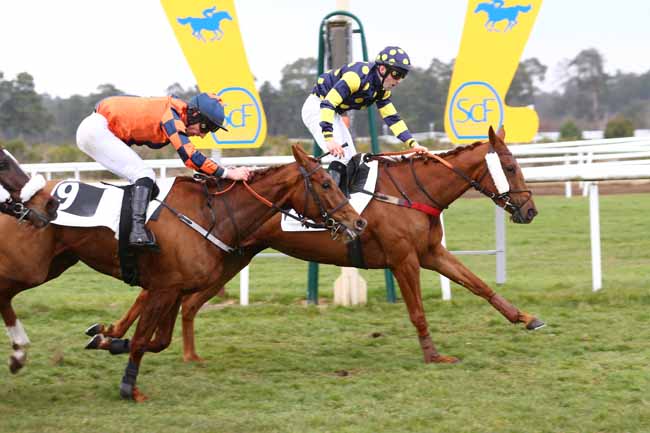 Photo d'arrivée de la course pmu PRIX DE BOULIGNY à FONTAINEBLEAU le Jeudi 3 mars 2022