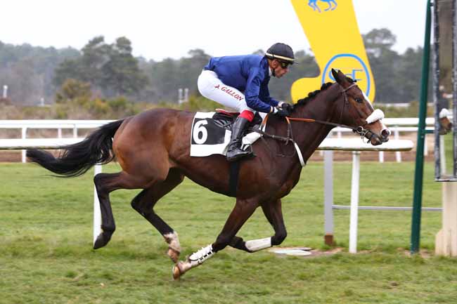 Photo d'arrivée de la course pmu PRIX DES HERONNIERES à FONTAINEBLEAU le Jeudi 3 mars 2022