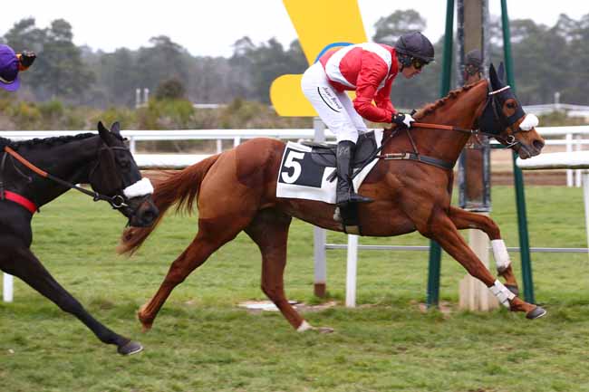 Photo d'arrivée de la course pmu PRIX DE LA SOCIETE DES COURSES DE DIEPPE à FONTAINEBLEAU le Jeudi 3 mars 2022