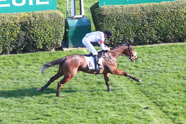 Photo d'arrivée de la course pmu PRIX RIVOLI à AUTEUIL le Dimanche 6 mars 2022