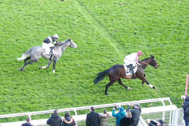 Photo d'arrivée de la course pmu PRIX ROHAN à AUTEUIL le Dimanche 6 mars 2022