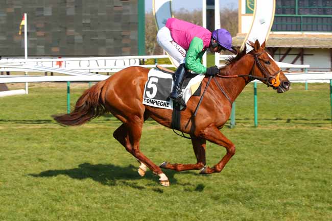 Photo d'arrivée de la course pmu PRIX DURTAIN à COMPIEGNE le Mardi 8 mars 2022