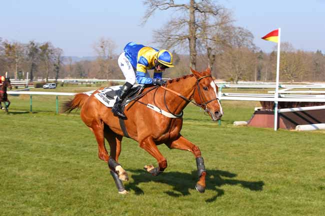 Photo d'arrivée de la course pmu PRIX FERNAND ROY à COMPIEGNE le Mardi 8 mars 2022