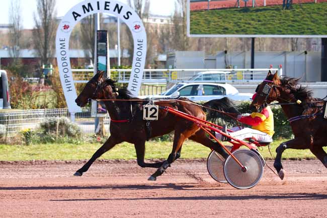 Photo d'arrivée de la course pmu PRIX DE L'UNAT à AMIENS le Mercredi 9 mars 2022