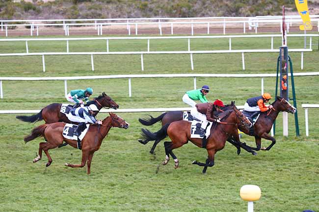 Photo d'arrivée de la course pmu PRIX DES TROIS MASSIFS à FONTAINEBLEAU le Vendredi 11 mars 2022