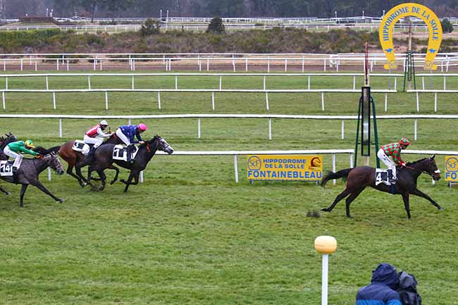 Photo d'arrivée de la course pmu PRIX DU COMITE DEPARTEMENTAL DU TOURISME DE SEINE-ET-MARNE à FONTAINEBLEAU le Vendredi 11 mars 2022