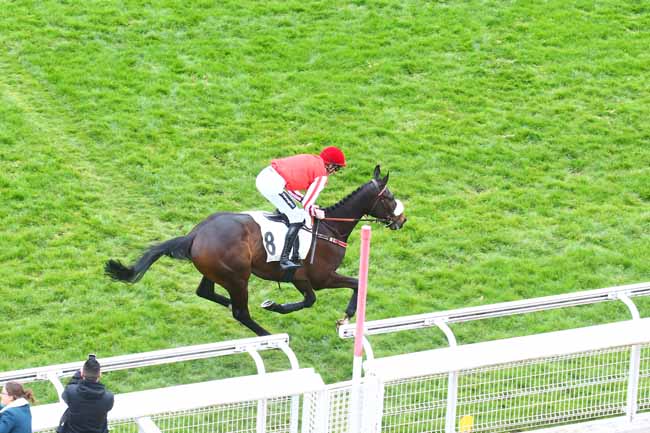 Photo d'arrivée de la course pmu PRIX DE L'YONNE à AUTEUIL le Samedi 12 mars 2022