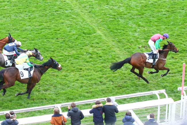 Photo d'arrivée de la course pmu PRIX HUBERT D'AILLIERES à AUTEUIL le Samedi 12 mars 2022