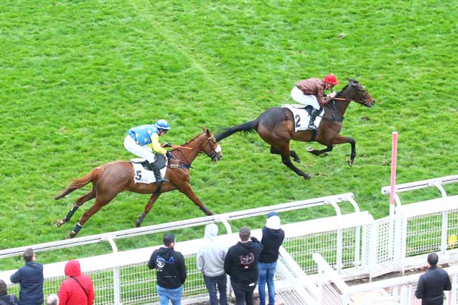 Photo d'arrivée de la course pmu PRIX SAMARITAIN à AUTEUIL le Samedi 12 mars 2022