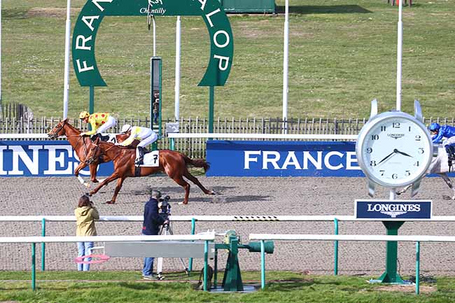 Photo d'arrivée de la course pmu PRIX DE L'ETANG CHAPON à CHANTILLY le Lundi 14 mars 2022