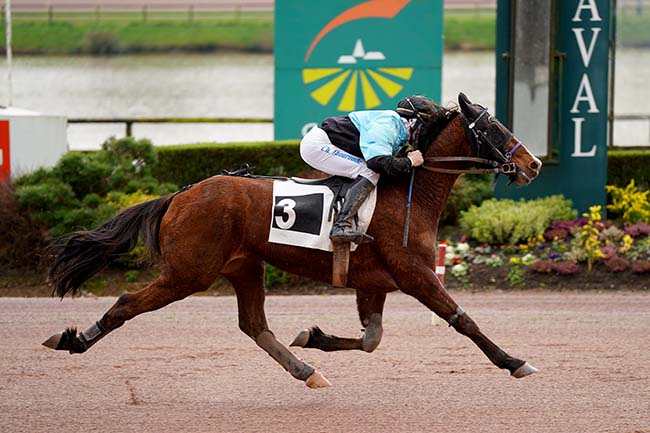 Photo d'arrivée de la course pmu PRIX DU HARAS DU LION-D'ANGERS à LAVAL le Mardi 15 mars 2022