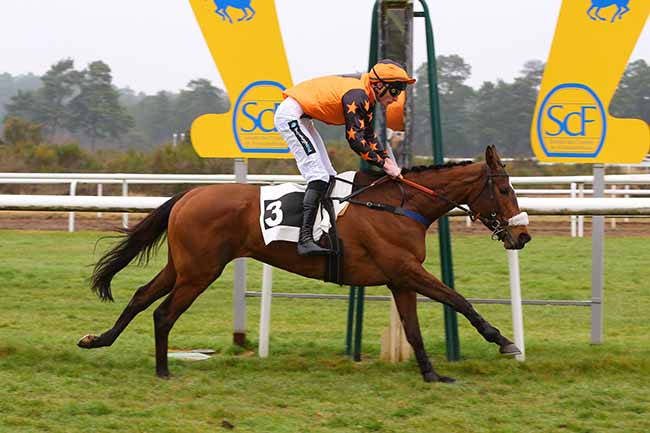 Photo d'arrivée de la course pmu PRIX D'ARBONNE-LA-FORET à FONTAINEBLEAU le Mardi 15 mars 2022