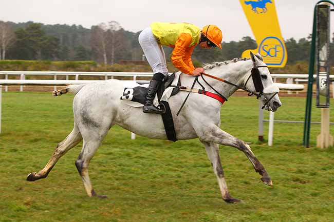 Photo d'arrivée de la course pmu PRIX DE LA SOCIETE DES COURSES DU PIN à FONTAINEBLEAU le Mardi 15 mars 2022