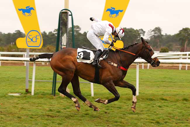 Photo d'arrivée de la course pmu PRIX DIX CORS ROYAL à FONTAINEBLEAU le Mardi 15 mars 2022