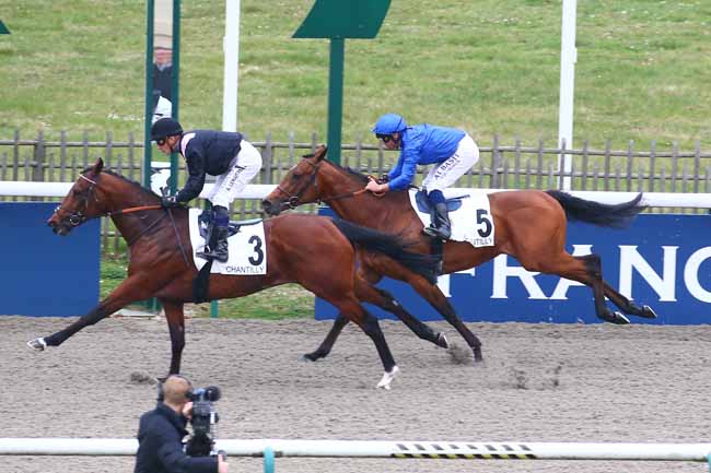 Photo d'arrivée de la course pmu PRIX TANDEM à CHANTILLY le Mercredi 16 mars 2022