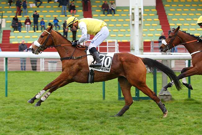 Photo d'arrivée de la course pmu PRIX D'ESSAI DES POULICHES à COMPIEGNE le Mercredi 16 mars 2022