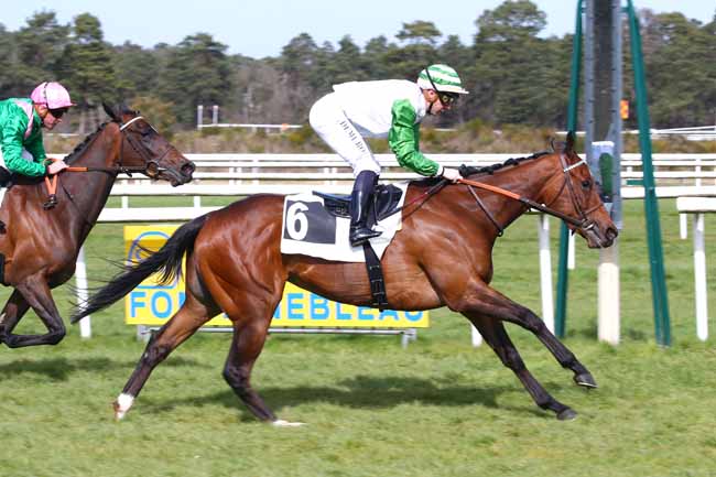 Photo d'arrivée de la course pmu PRIX DES SENTIERS DENECOURT à FONTAINEBLEAU le Vendredi 18 mars 2022