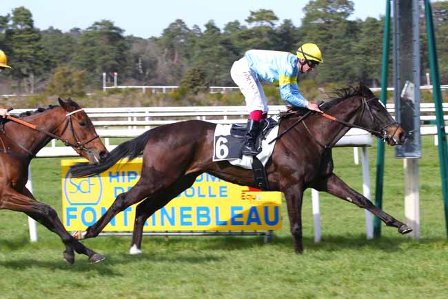 Photo d'arrivée de la course pmu PRIX DE VULAINES-SUR-SEINE à FONTAINEBLEAU le Vendredi 18 mars 2022