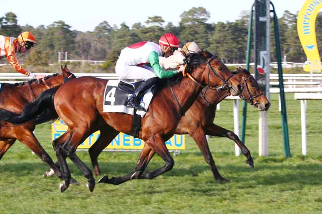 Photo d'arrivée de la course pmu PRIX DES CEDRES à FONTAINEBLEAU le Vendredi 18 mars 2022