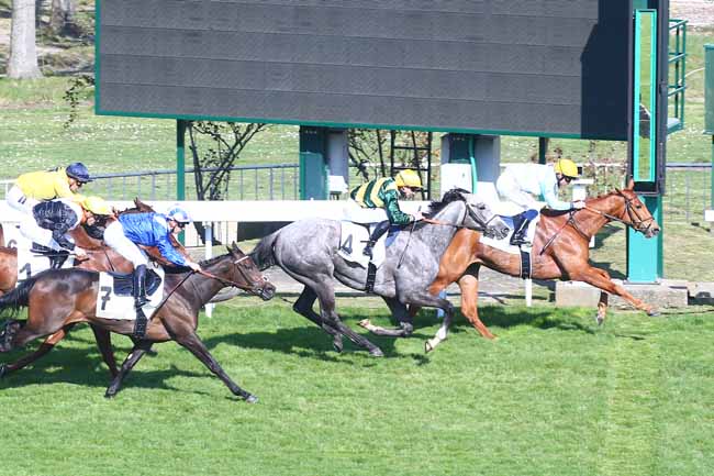 Photo d'arrivée de la course pmu PRIX LA CAMARGO à SAINT CLOUD le Samedi 19 mars 2022
