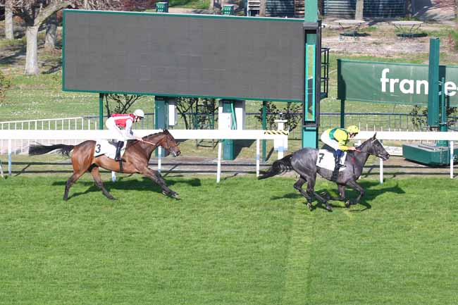 Photo d'arrivée de la course pmu PRIX D'ESTIMAUVILLE à SAINT CLOUD le Samedi 19 mars 2022
