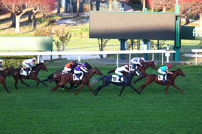 Photo d'arrivée de la course pmu PRIX DE CRECY FITZ-JAMES à SAINT CLOUD le Samedi 19 mars 2022