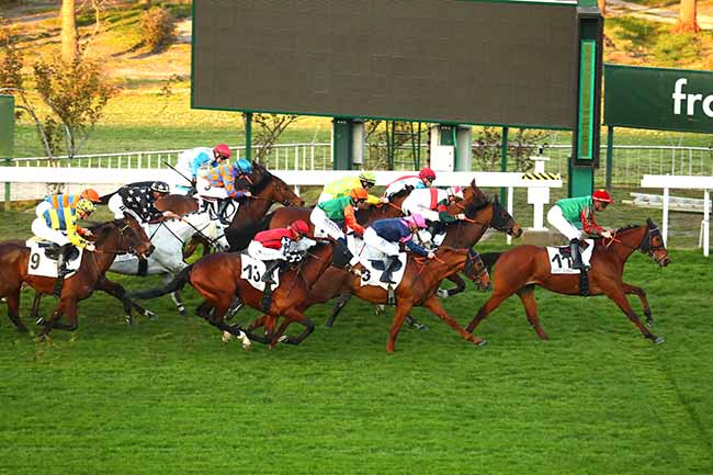 Photo d'arrivée de la course pmu PRIX DES PYRENEES-ATLANTIQUES à SAINT CLOUD le Samedi 19 mars 2022
