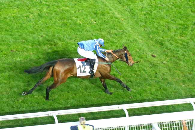 Photo d'arrivée de la course pmu PRIX L'IMPETUEUX à AUTEUIL le Dimanche 20 mars 2022