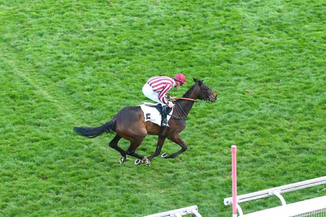 Photo d'arrivée de la course pmu PRIX AURICULA à AUTEUIL le Dimanche 20 mars 2022