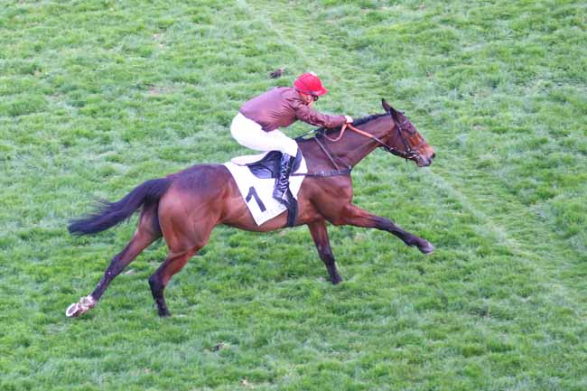 Photo d'arrivée de la course pmu PRIX D'INDY à AUTEUIL le Dimanche 20 mars 2022