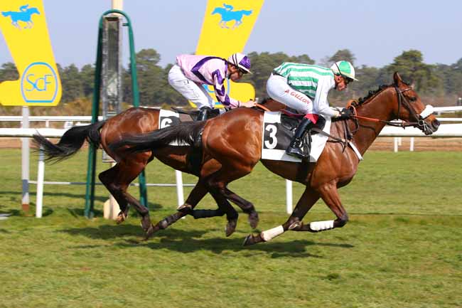 Photo d'arrivée de la course pmu PRIX DES BRUYERES à FONTAINEBLEAU le Vendredi 25 mars 2022